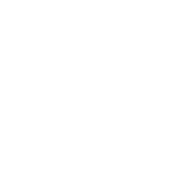 MavMinFoundation-Icon-White-large